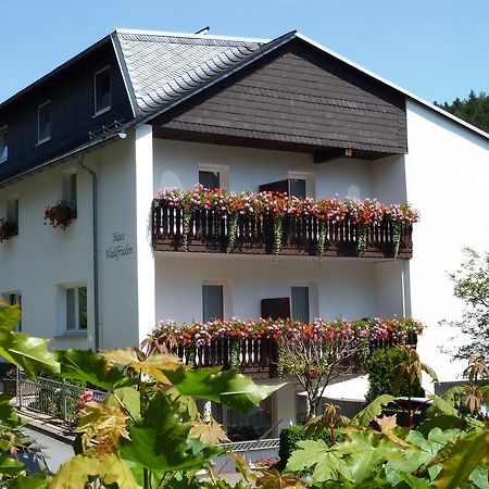 Pension Haus Waldfrieden, Meinecardplus Inklusive Willingen  Exterior photo