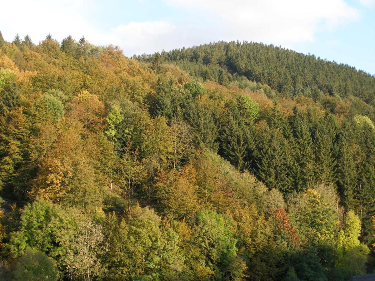 Pension Haus Waldfrieden, Meinecardplus Inklusive Willingen  Room photo