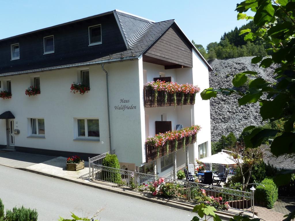 Pension Haus Waldfrieden, Meinecardplus Inklusive Willingen  Exterior photo