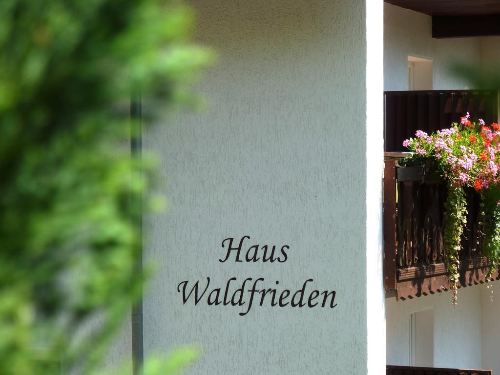 Pension Haus Waldfrieden, Meinecardplus Inklusive Willingen  Exterior photo