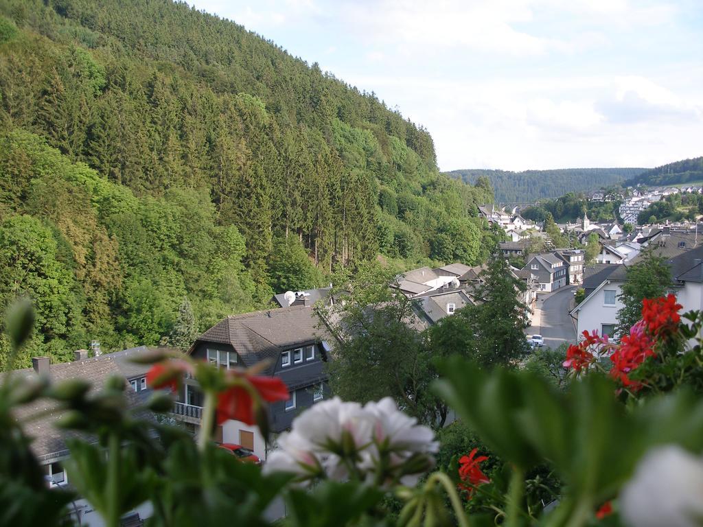 Pension Haus Waldfrieden, Meinecardplus Inklusive Willingen  Exterior photo