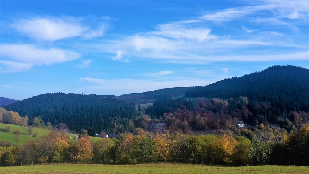 Pension Haus Waldfrieden, Meinecardplus Inklusive Willingen  Exterior photo